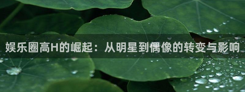 彩客网2体育登录入口：娱乐圈高H的崛起：从明星到偶像的转变与影响