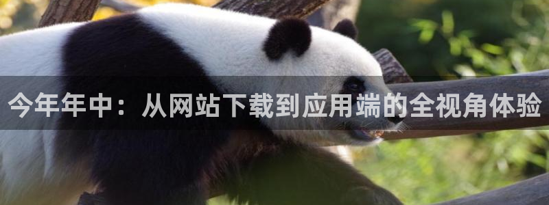 福建彩客网机电股份公司：今年年中：从网站下载到应用端的全视角体验