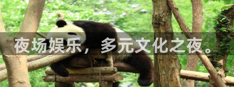 彩客网体育注册登录入口：夜场娱乐，多元文化之夜。