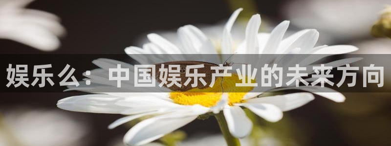 彩客网体育3：娱乐么：中国娱乐产业的未来方向