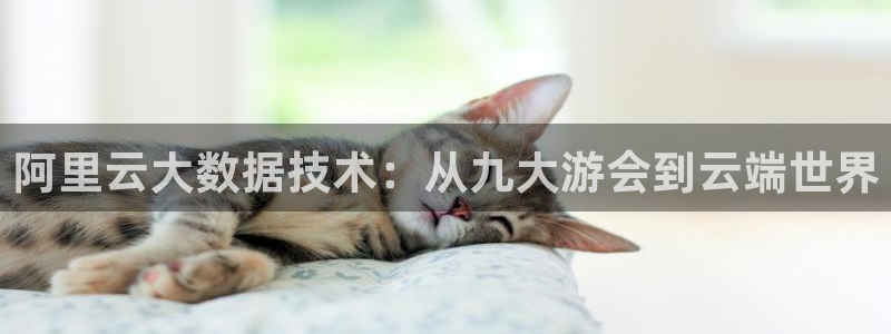 东莞市彩客网电子科技有限公司：阿里云大数据技术：从九大游会到云端世界