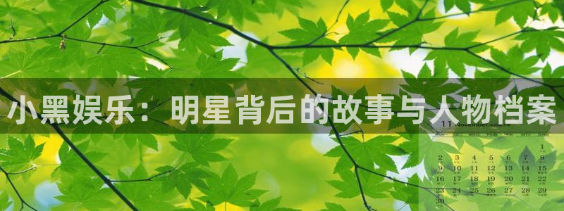 东莞市彩客网电子科技有限公司