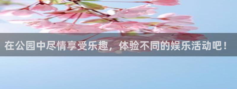 彩客网k