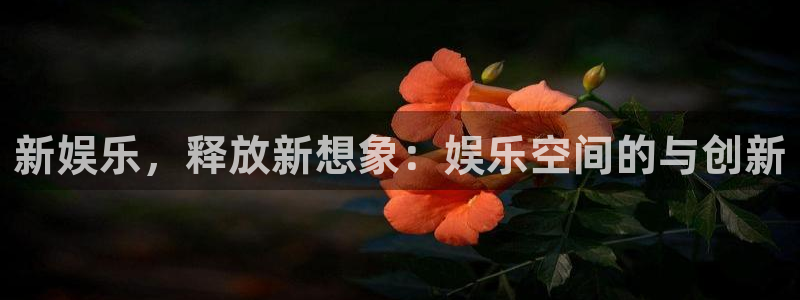 彩客网官网入口