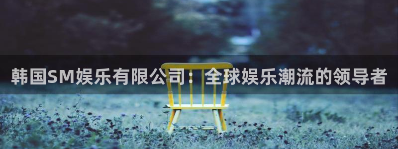 彩客网3平台登录注册：韩国SM娱乐有限公司：全球娱乐潮流的领导者