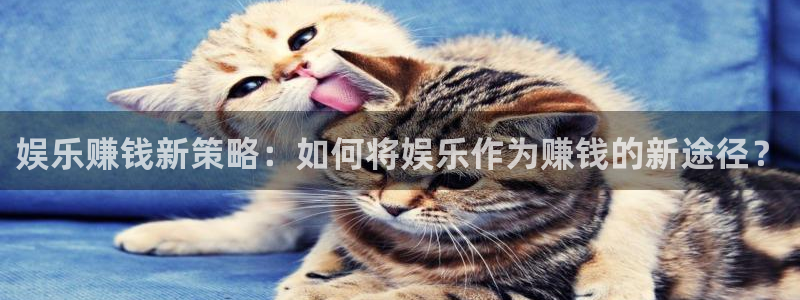 彩客网官网：娱乐赚钱新策略：如何将娱乐作为赚钱的新途径？