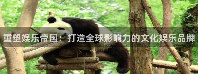 彩客网平台开户：重塑娱乐帝国：打造全球影响力的文化娱乐品牌