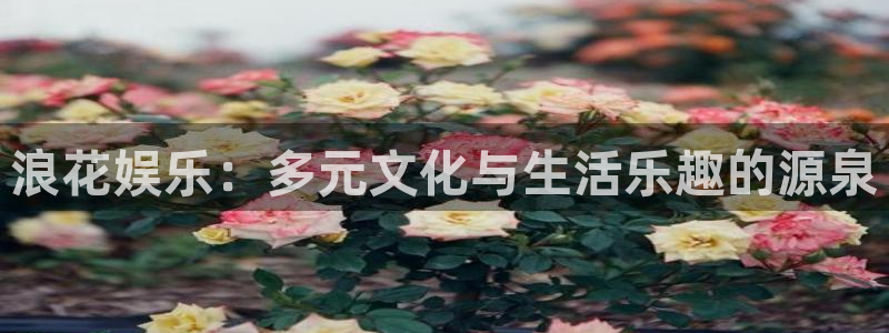 彩客网4代理：浪花娱乐：多元文化与生活乐趣的源泉