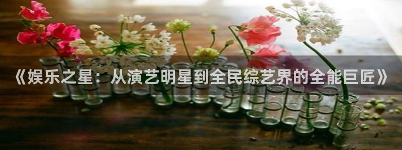 彩客网集团股票：《娱乐之星：从演艺明星到全民综艺界的全能巨匠》
