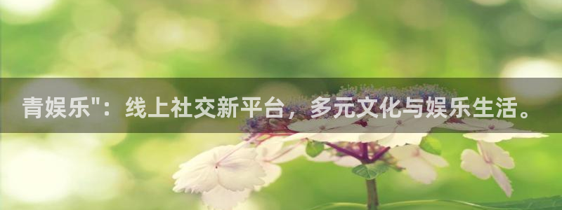 彩客网平台：青娱乐\